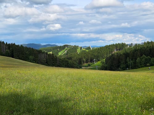 Winterberg Rundweg W6 Sürenbergweg