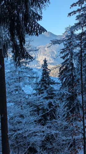 Sonnenspitz und Graseck ab Kochelsee