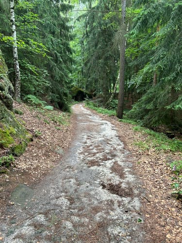 Schmilka - Rübezahlturm - Carolafelsen - Schrammsteine