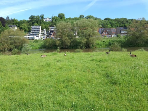 Ruhrschleife bei Hattingen