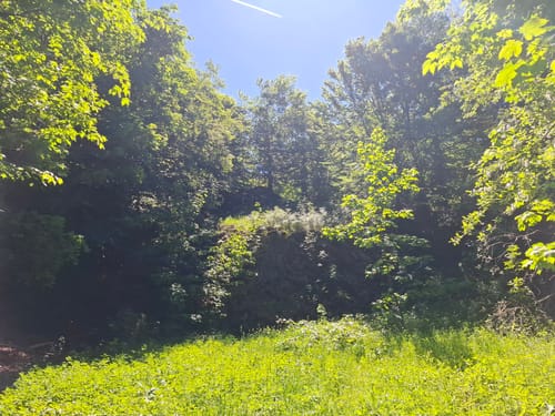 Rund um Spielzeugland