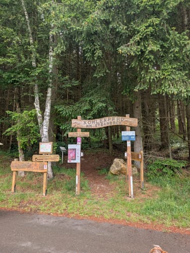 Köhlerpfad am Steinbach (Traumschleife)