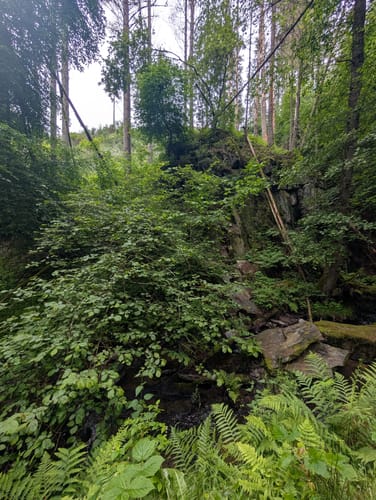 Köhlerpfad am Steinbach (Traumschleife)