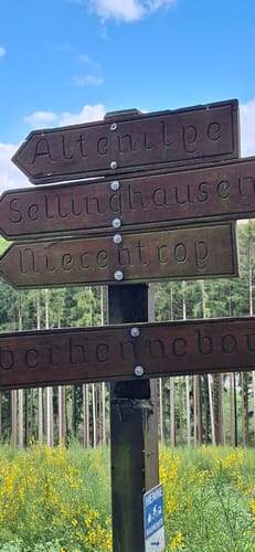 Sauerland-Höhenflug Etappe 5: Wenholthausen - Bad Fredeburg