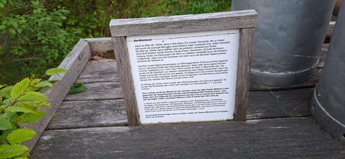 Sauerland-Höhenflug Etappe 5: Wenholthausen - Bad Fredeburg