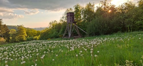 Sauerland-Höhenflug Etappe 5: Wenholthausen - Bad Fredeburg