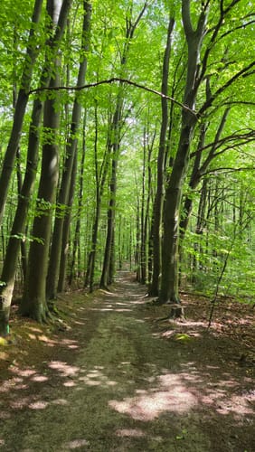 Bad Salzuflen Rundweg 8