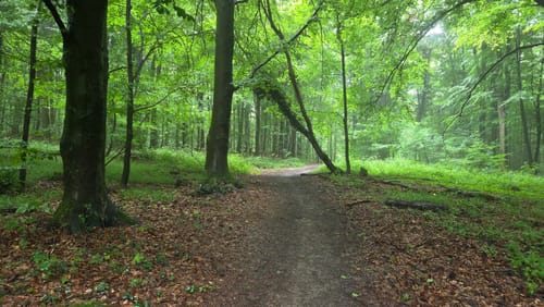 Bad Salzuflen Rundweg 8