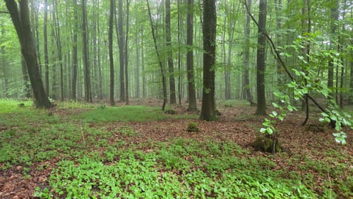 Bad Salzuflen Rundweg 8