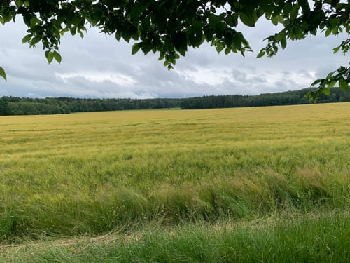 Malerweg Etappe 6: Schmilka - Kurort Gohrisch