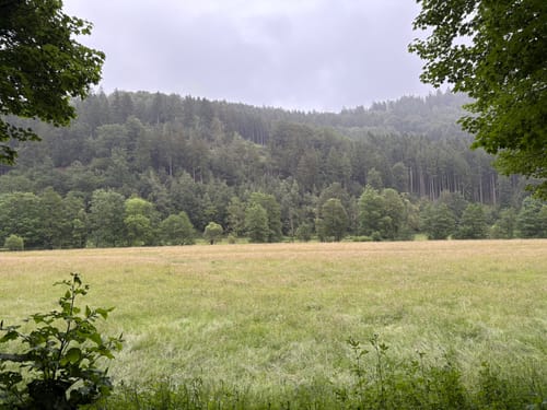 Haaserott-Runde