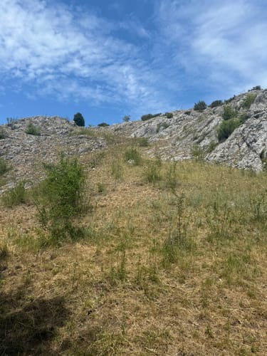 Von Giengen an der Brenz rund um den Flughafen