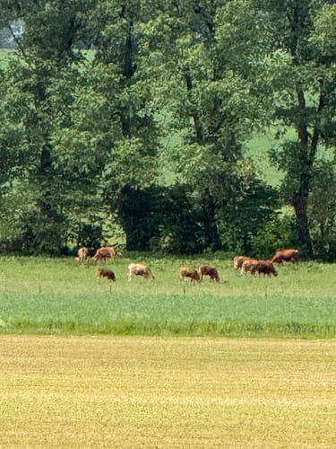 Von Giengen an der Brenz rund um den Flughafen