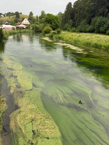 Von Herbrechtingen durchs Eselsburger Tal
