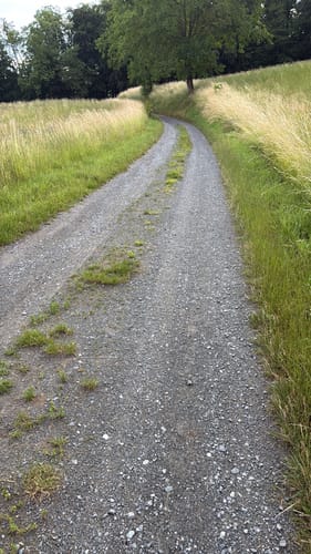 Rundwanderweg Mühltal 2