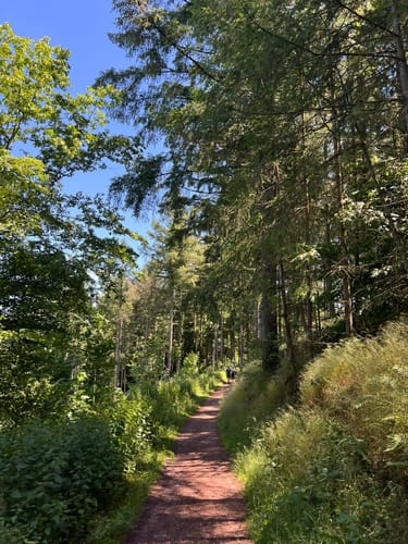 Calmont Klettersteig und Höhenweg ab Ediger-Eller
