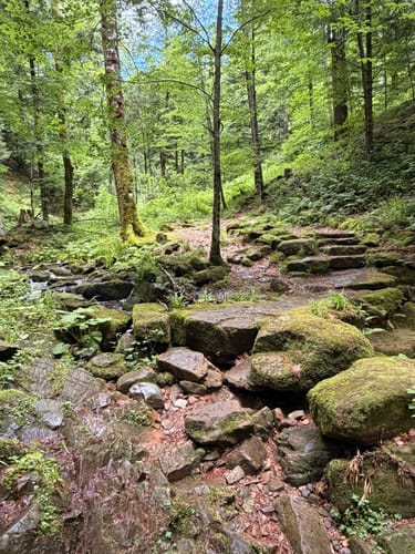 Fischfelsen Wasserfall