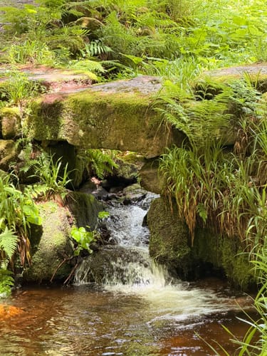 Fischfelsen Wasserfall