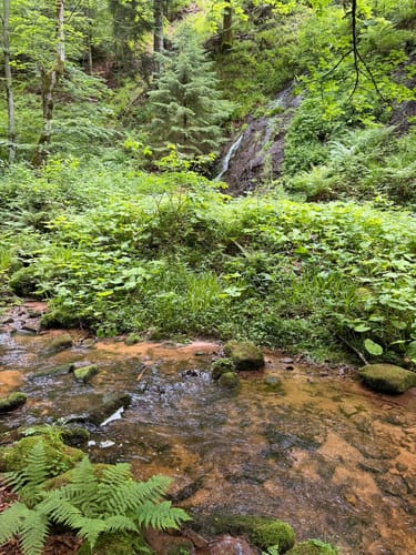 Fischfelsen Wasserfall