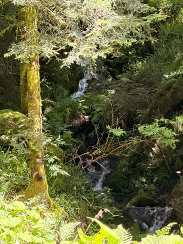 Fischfelsen Wasserfall