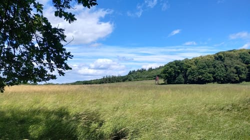 Rheinsteig Etappe 5: Bad Hönningen - Leutesdorf
