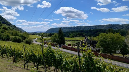 Rheinsteig Etappe 5: Bad Hönningen - Leutesdorf