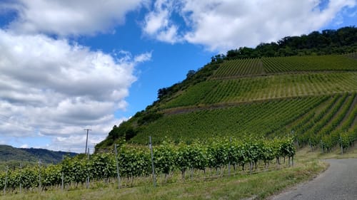 Rheinsteig Etappe 5: Bad Hönningen - Leutesdorf