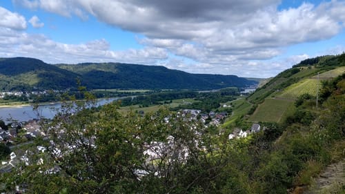 Rheinsteig Etappe 5: Bad Hönningen - Leutesdorf