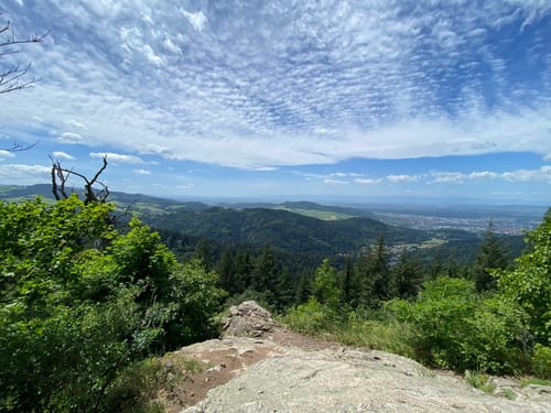 Kybfelsen ab Günterstal