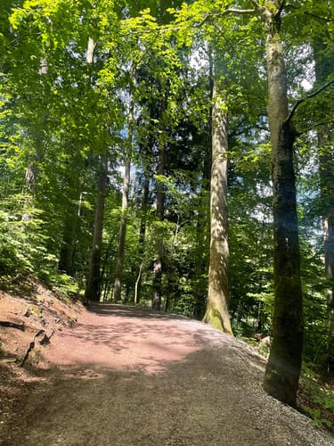 Von Tegernsee auf die Kreuzbergalm