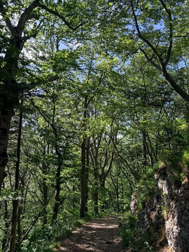 HOCHGEHBERGE I "hochgehkämpft" (Premiumspazierwanderweg)