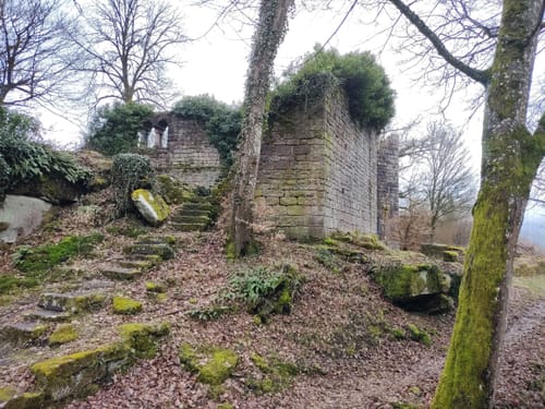 Zur Burgruine Eberbach
