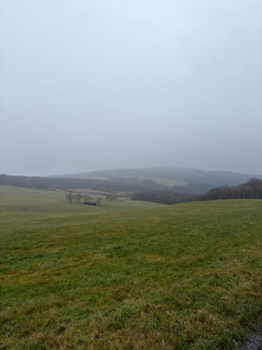Waldesch, Stolzenfels, und Rhens Rundweg