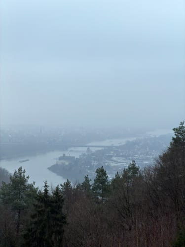 Waldesch, Stolzenfels, und Rhens Rundweg