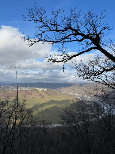 Von Pünderich zum Bummkopf