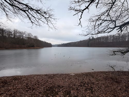 Neyetalweg zur Neyetalsperre