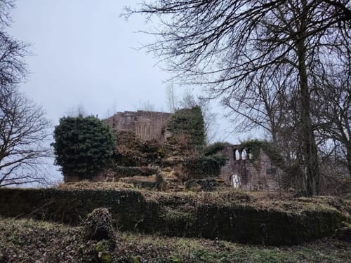 Zur Burgruine Eberbach