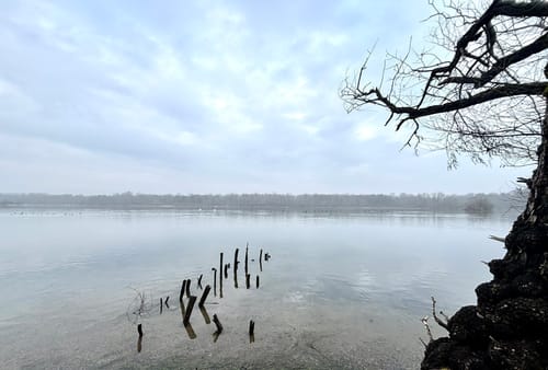 Um den Fermasee