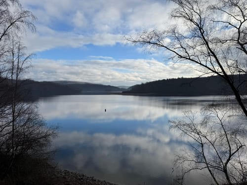 Rurtalsperre und Obersee