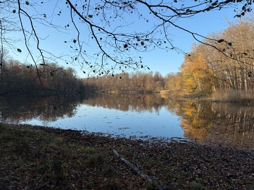 Grumsin - Großer Schwarzer See - Kleiner Grumsinsee
