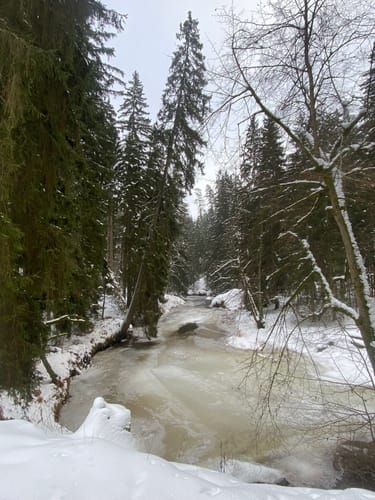 Waldnaabtal Rundweg (Hammermühl-Runde kurz)