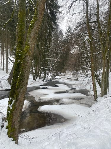 Waldnaabtal Rundweg (Hammermühl-Runde kurz)