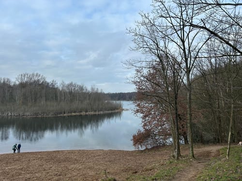 Halde Rheinpreußen - Waldsee - Lohheidesee