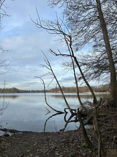 Halde Rheinpreußen - Waldsee - Lohheidesee
