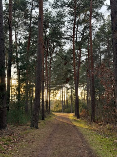 Teverneheide Kleiner Rundweg