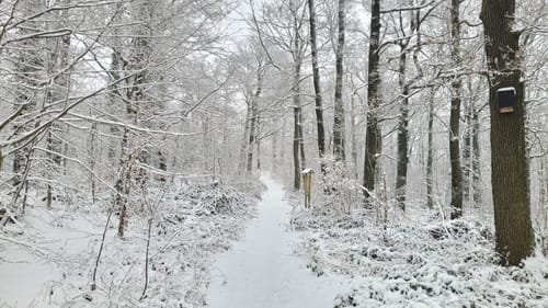 Kühren - Wermsdorf - Collm - Oschatz