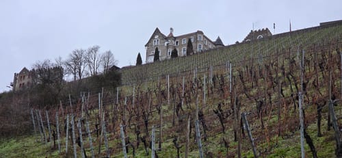 Steinweinpfad