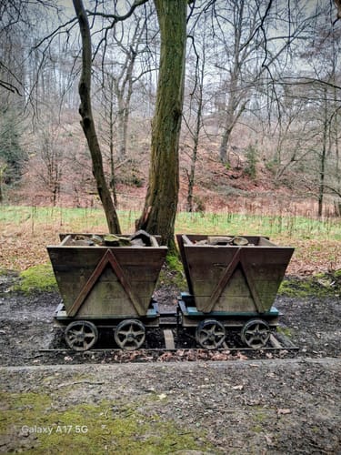 Schloss Steinhausen - Ruine Hardenstein - Stadtforst Vormholz