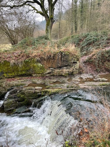Nettetal - Trimbser Schweiz