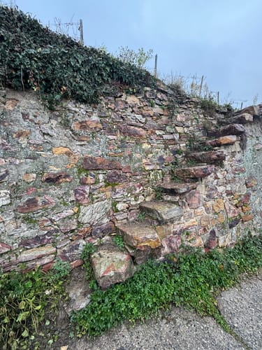 Rüdesheim am Rhein - Niederwaldtempel - Schloss Groenesteyn